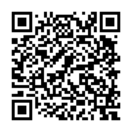 QR code for LEI481