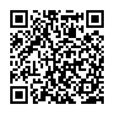 QR code for LEI541