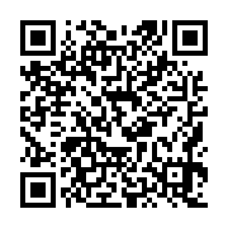 QR code for LEI575