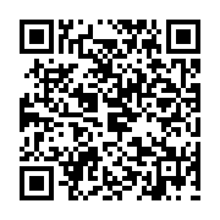 QR code for LEK371
