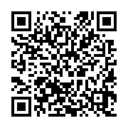 QR code for LEO737