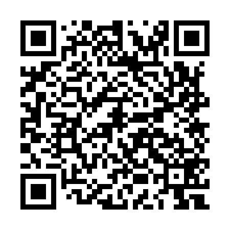 QR code for LEO959