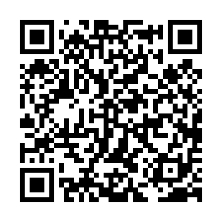 QR code for LEP411