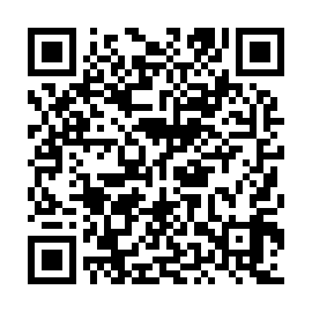 QR code for LEP919