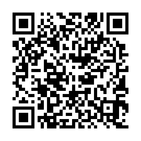 QR code for LEU311