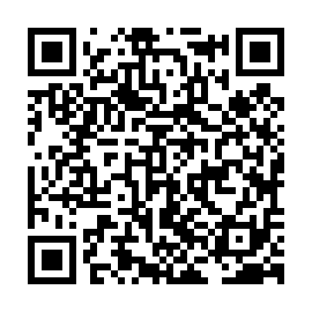 QR code for LFJ411