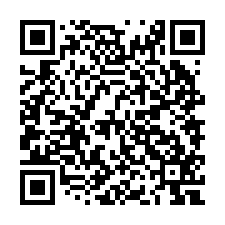 QR code for LFN217
