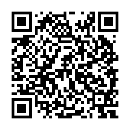 QR code for LFN294