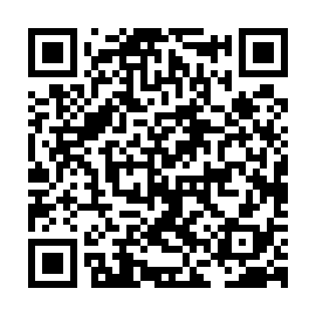 QR code for LFP538