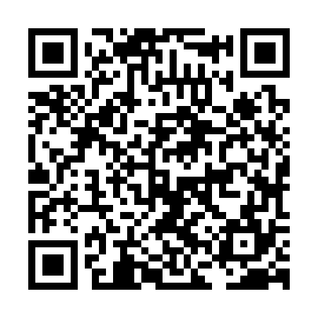 QR code for LFZ374