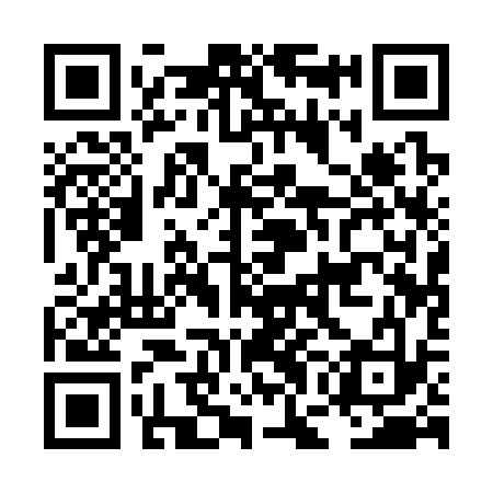 QR code for LGA333