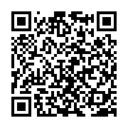 QR code for LGI339