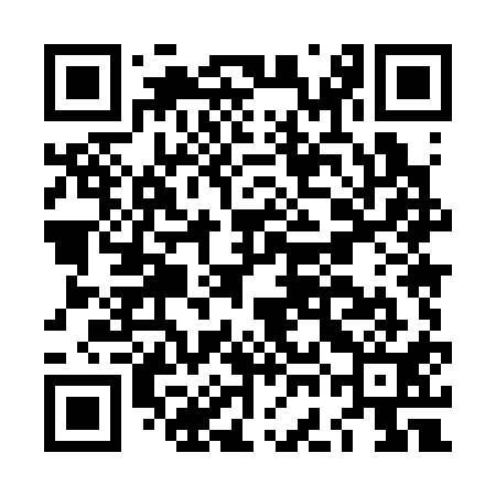 QR code for LGM311