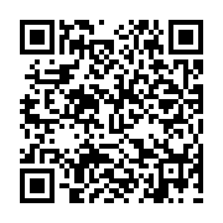 QR code for LGM338