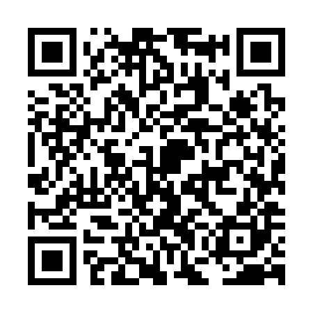 QR code for LGM380