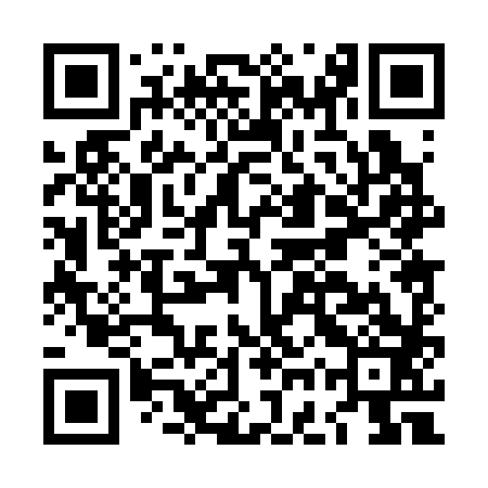 QR code for LGP383