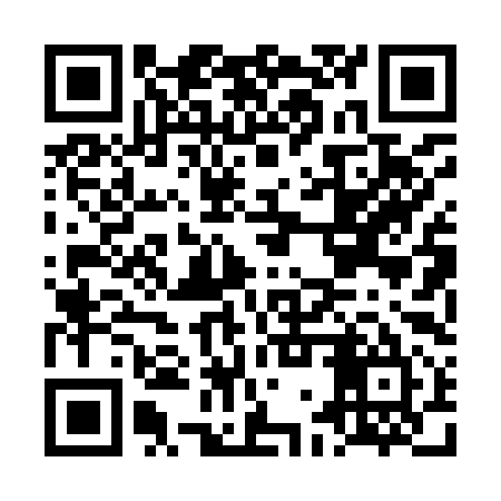 QR code for LGP995