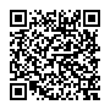 QR code for LGX950