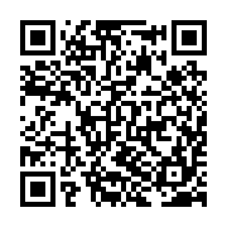 QR code for LHA294