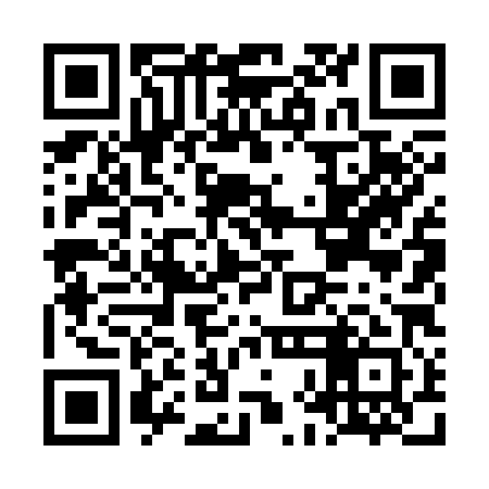 QR code for LHL381