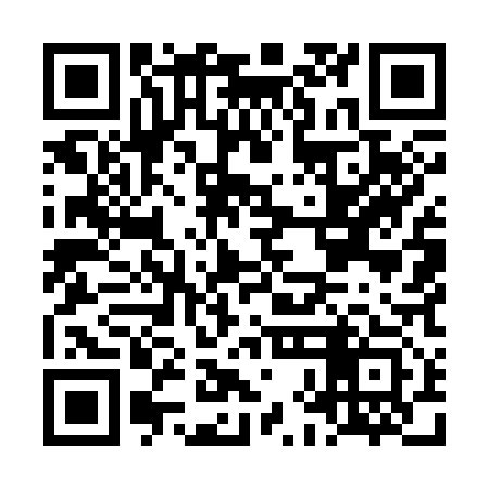 QR code for LHM313