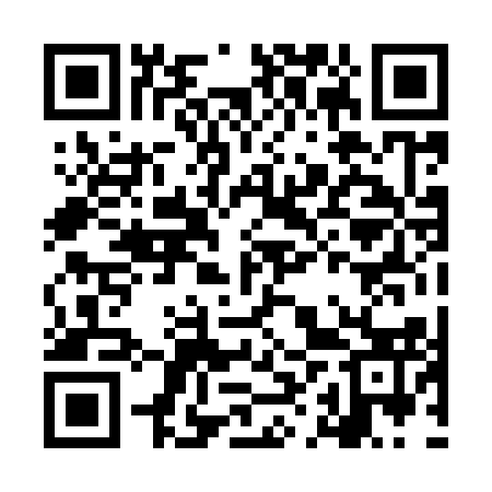 QR code for LHP913