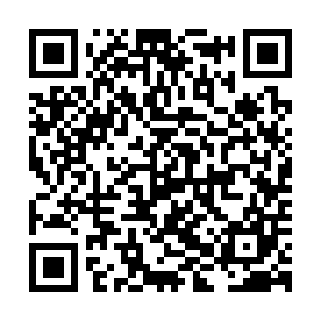 QR code for LHS307