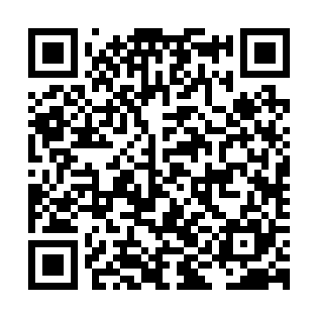 QR code for LIB225