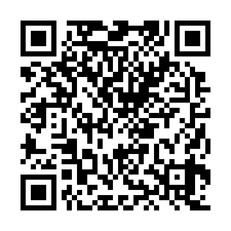 QR code for LIB339