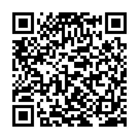QR code for LIC333