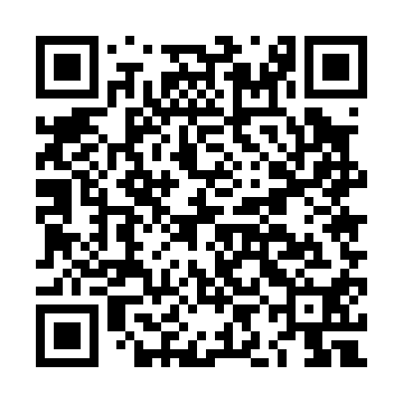 QR code for LIE010