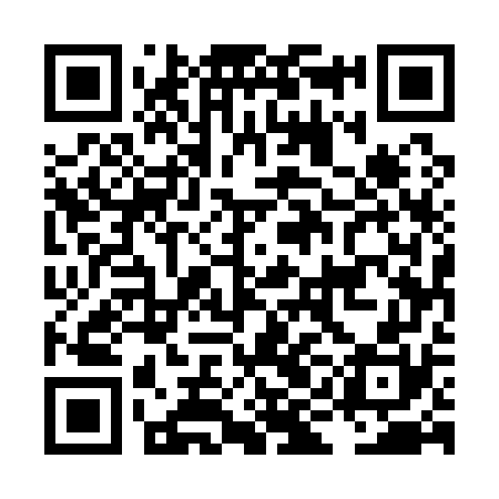 QR code for LIE170