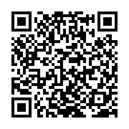 QR code for LIE208