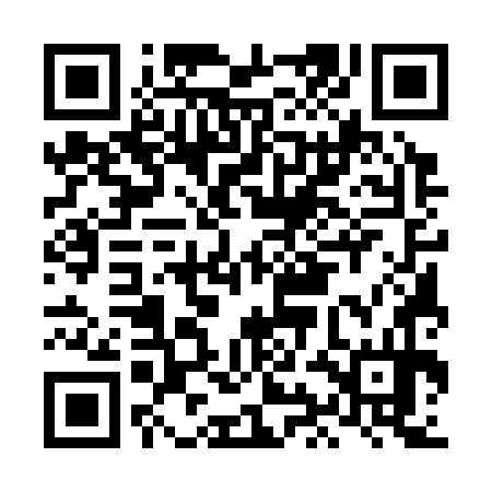 QR code for LIE374