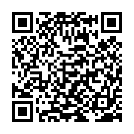 QR code for LIE413