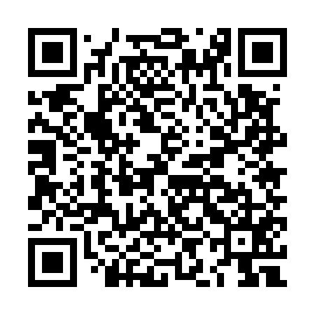 QR code for LIE555