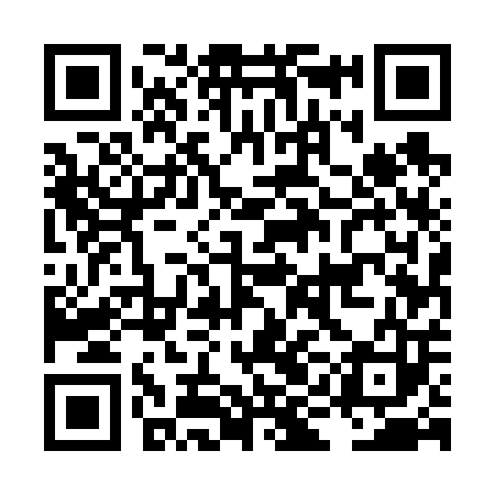 QR code for LIE603