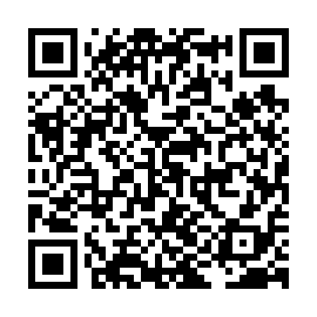 QR code for LIE618