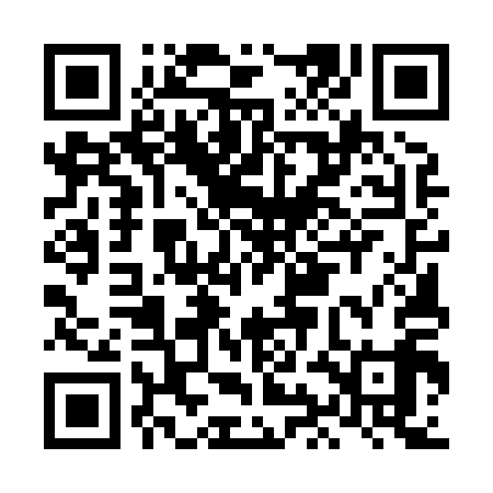 QR code for LIE819