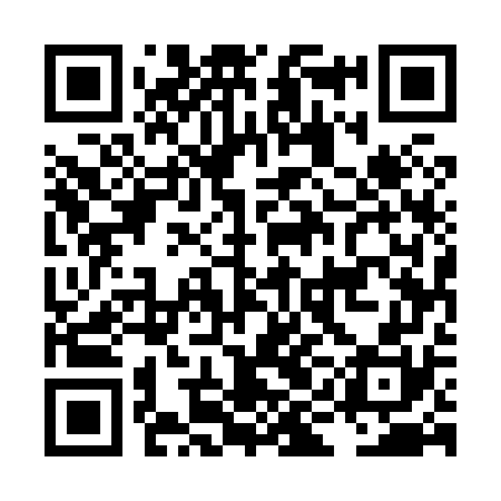 QR code for LIE870