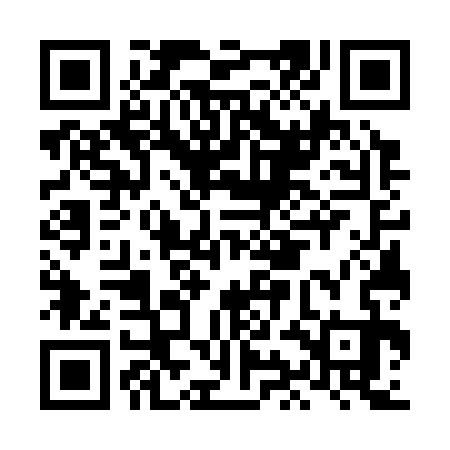 QR code for LIG333