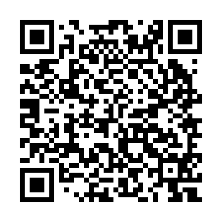 QR code for LIJ294