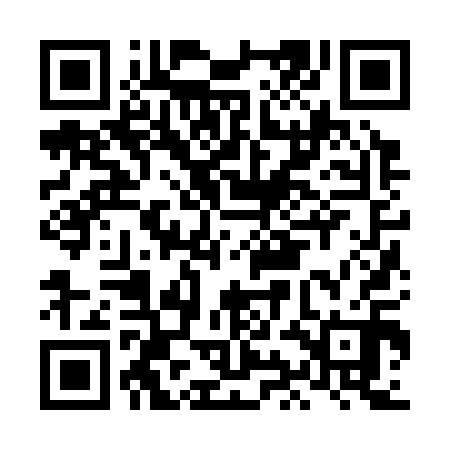 QR code for LIJ310