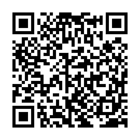 QR code for LIJ550