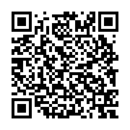 QR code for LIL335