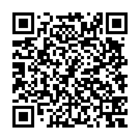 QR code for LIN439