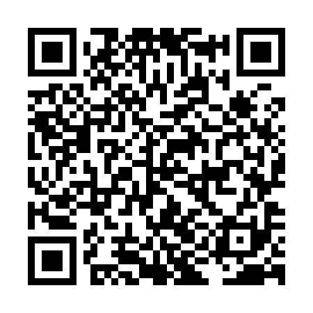 QR code for LIO991
