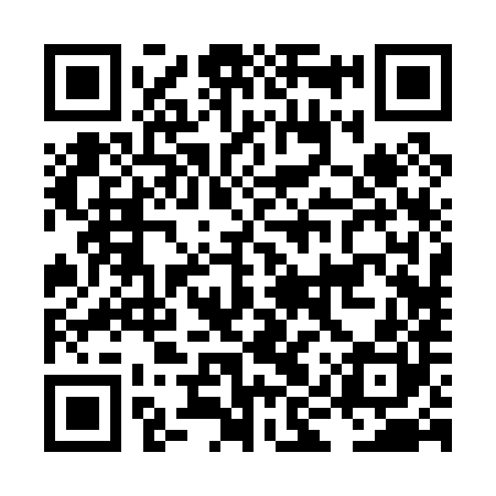QR code for LIR080