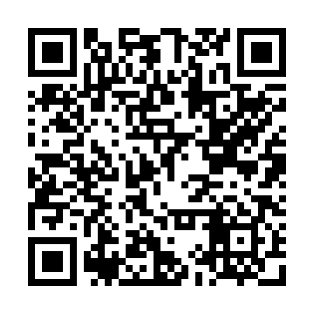 QR code for LIR289