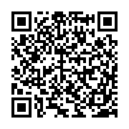 QR code for LIR377